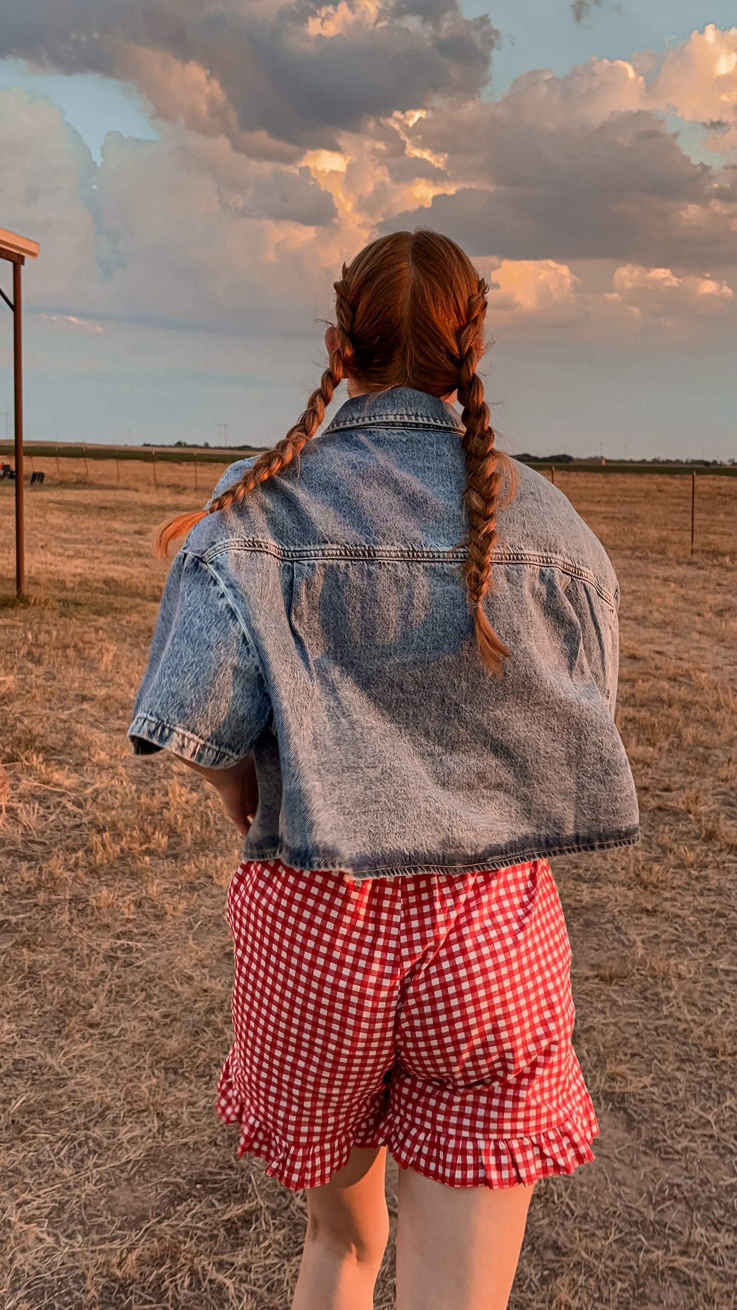 Raspberry Gingham Shorts
